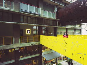 贰厂的文艺，你不懂 文艺创作的灵魂与误解